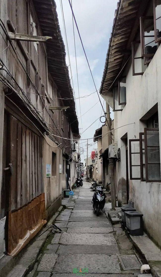 初入职场，该不该修炼自己的「钝感力」？职场新人如何告别「玻璃心」？